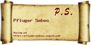 Pfluger Sebes névjegykártya